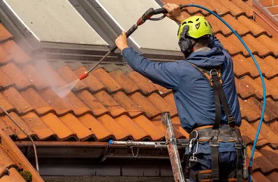 Démoussage et hydrofuge de toiture à la Loge-Pomblin